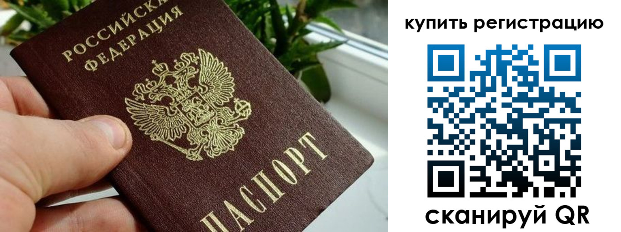 прописка гарантия в Шимановске